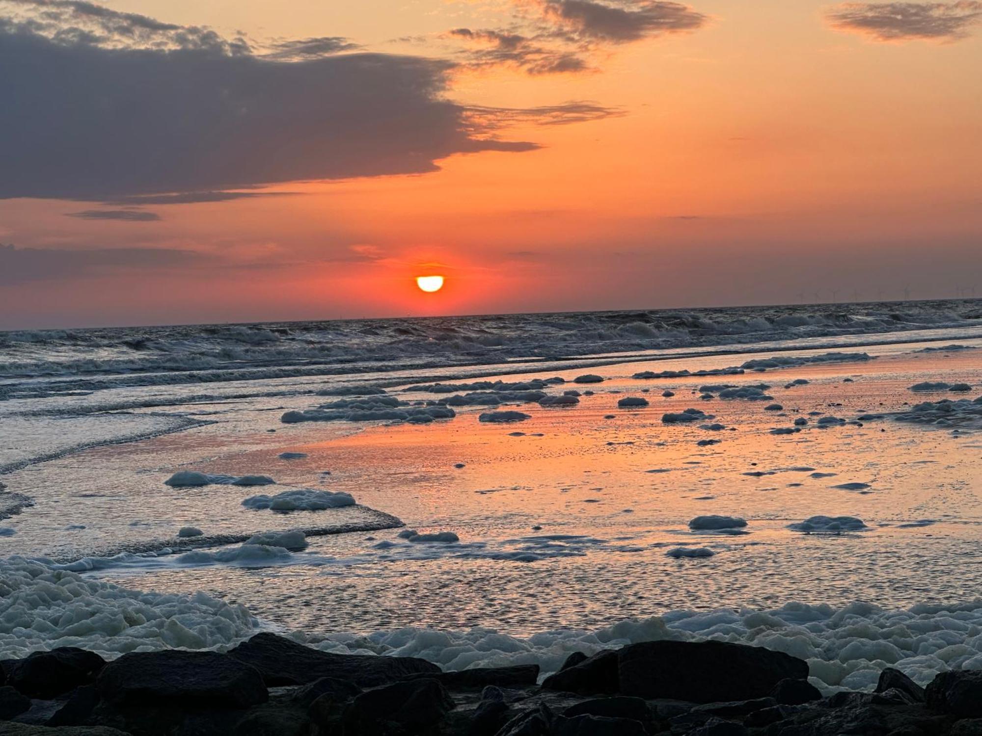 Wangerrose - Familienwohnung Fuer Gross Und Klein Und Hundefreunde Wangerooge Exteriér fotografie